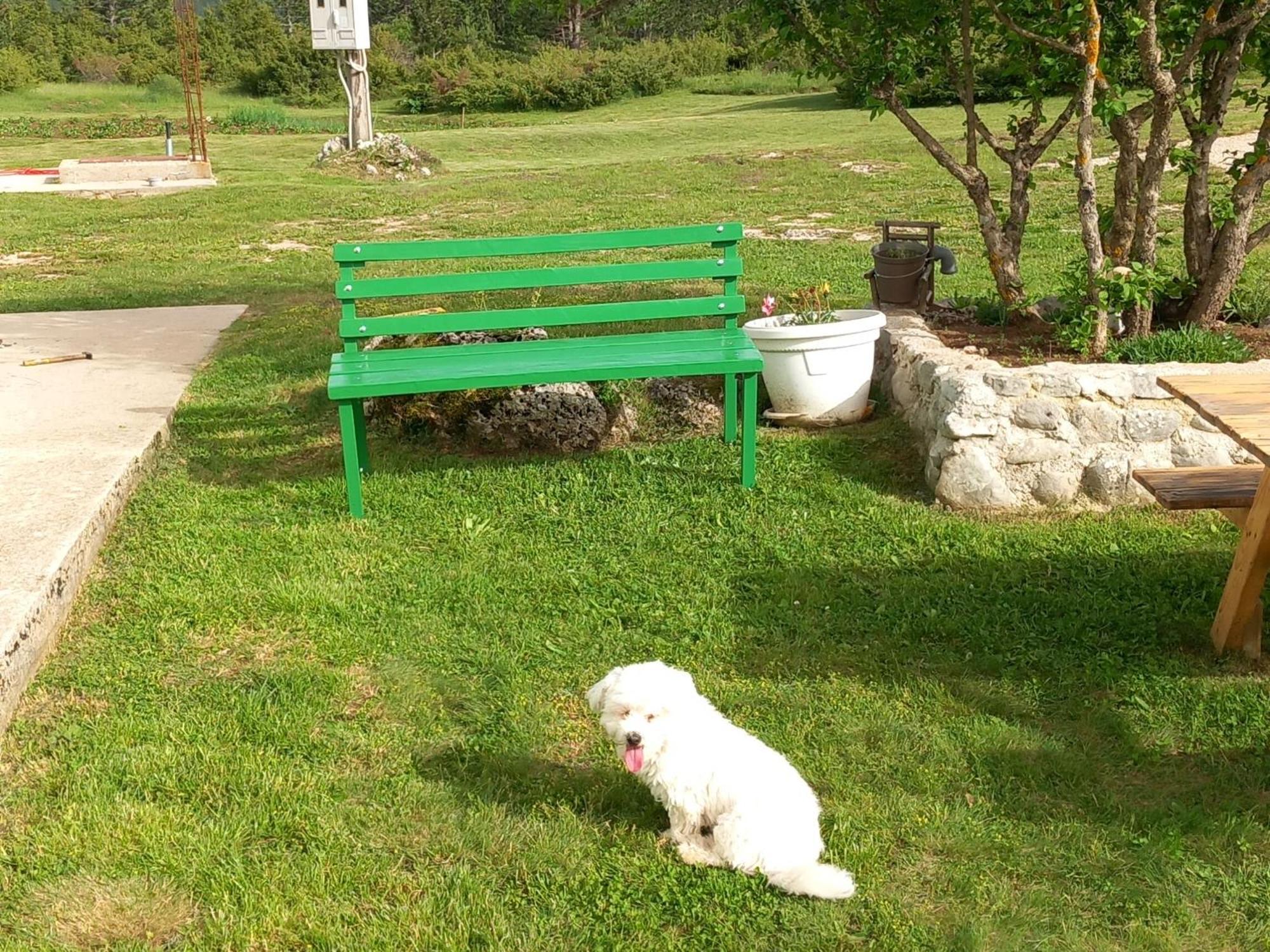 Green Cottage Blidinje Zewnętrze zdjęcie